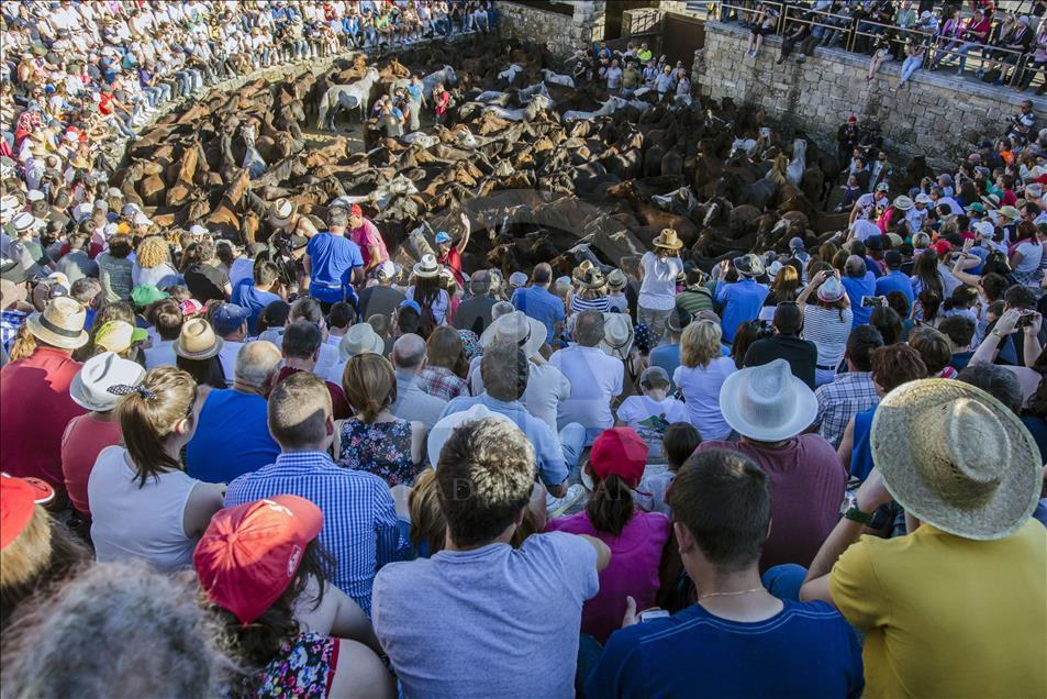 The capacity of curro completely full