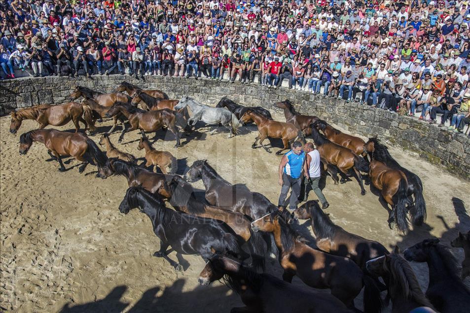 The beginning of the arrival of the horses to the Curro