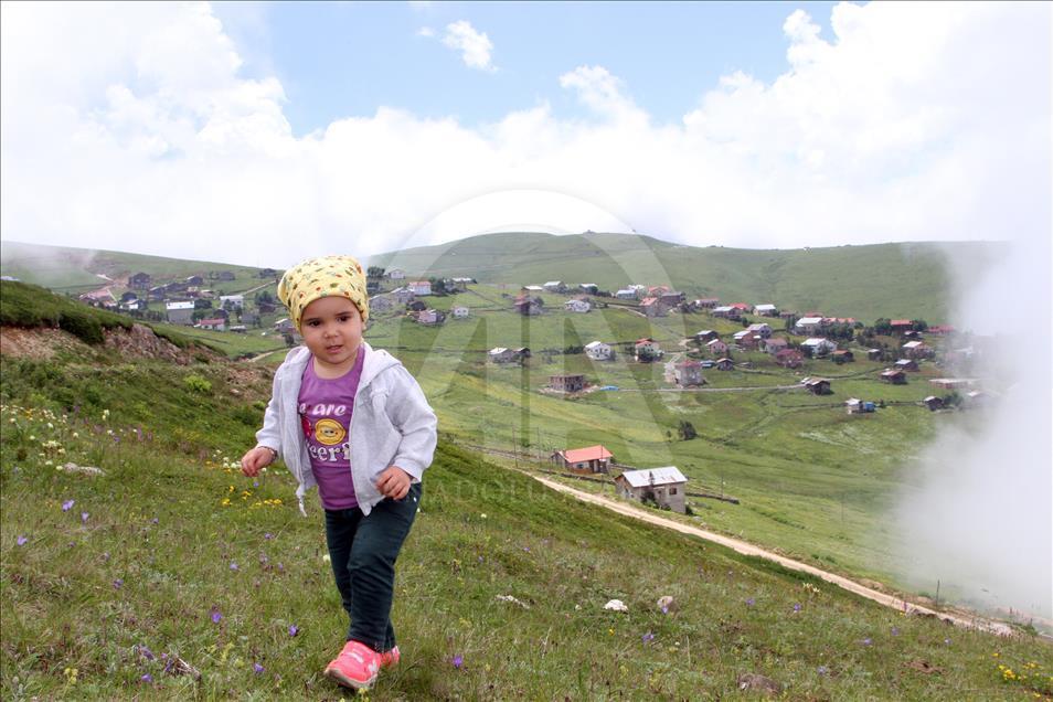 Sis bulutlarının adresi: "Sultan Murat Yaylası"