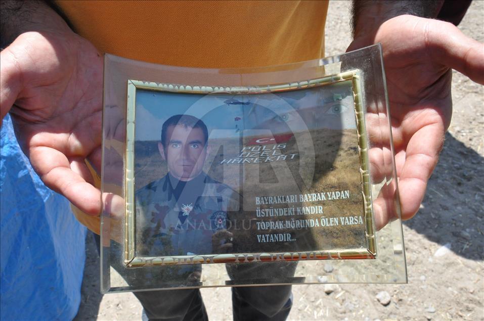 Demokrasi şehitleri
