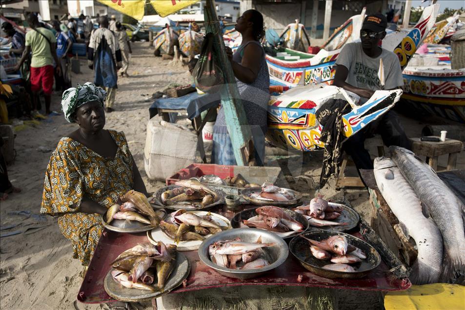 Dakar'da "Sioumbediom" balık pazarı