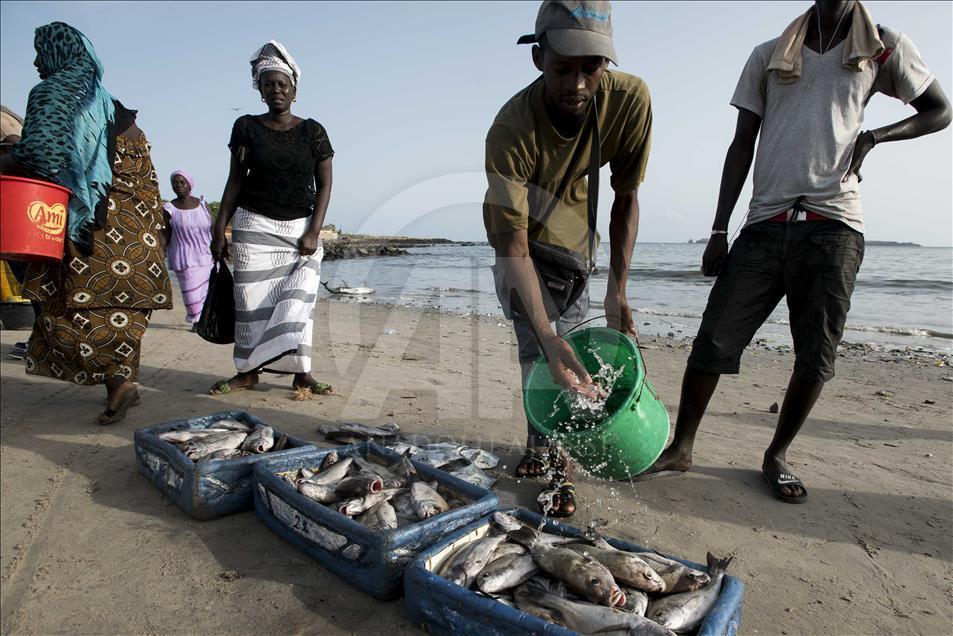 Dakar'da "Sioumbediom" balık pazarı