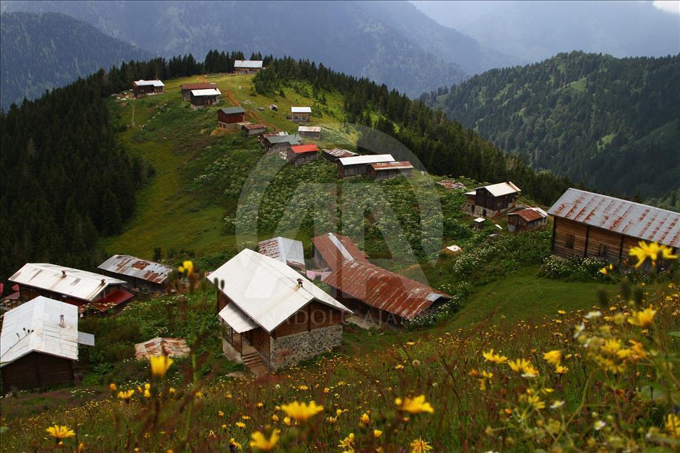 Çamlıhemşin yaylaları büyülüyor