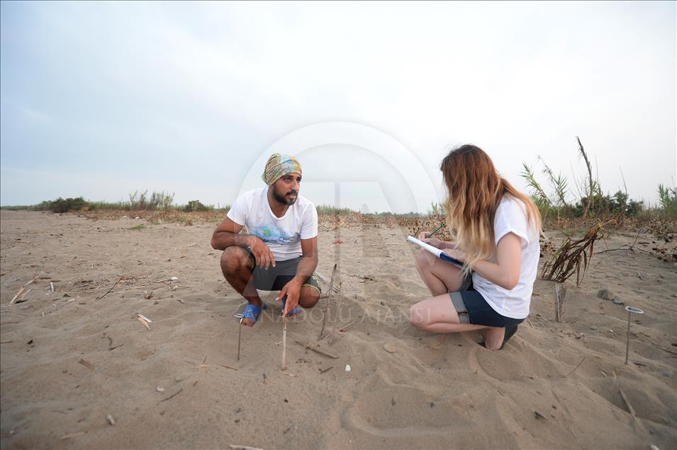 Caretta carettaların gönüllü "ebe"si