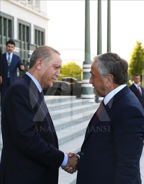 Turkish President Erdogan meets Turkish-Cypriot President Akinci in Ankara