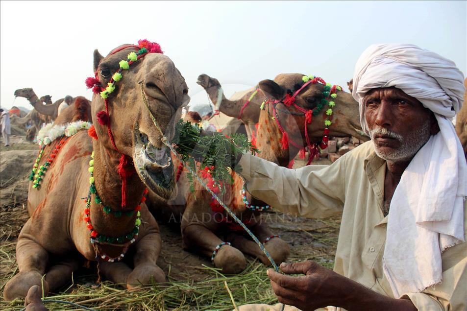 Eid al-Adha preparation in Pakistan