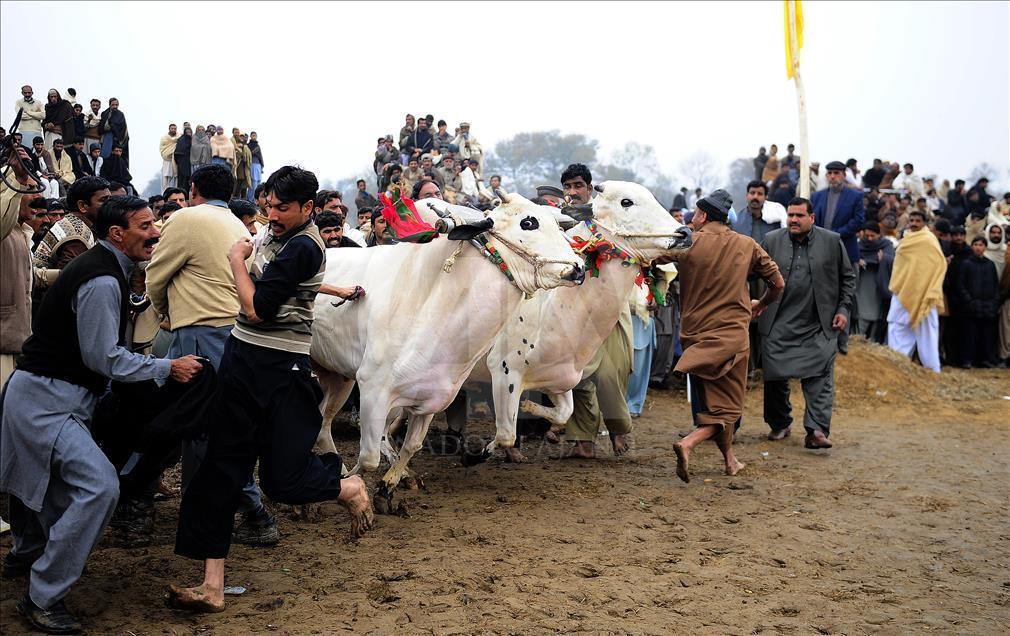 Pakistani, vendi ku gërshetohen shumë popuj dhe kultura