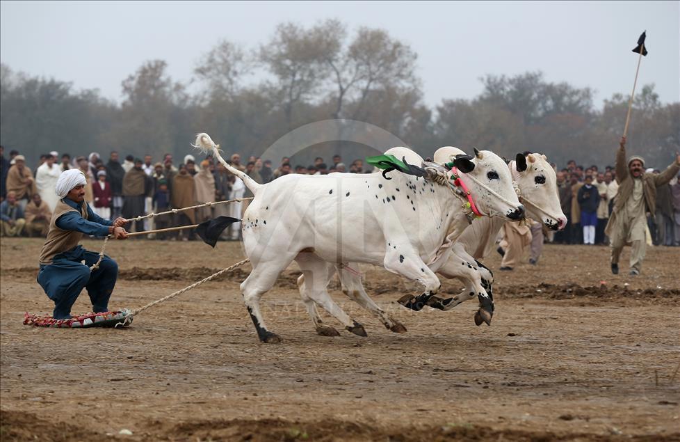 Pakistani, vendi ku gërshetohen shumë popuj dhe kultura