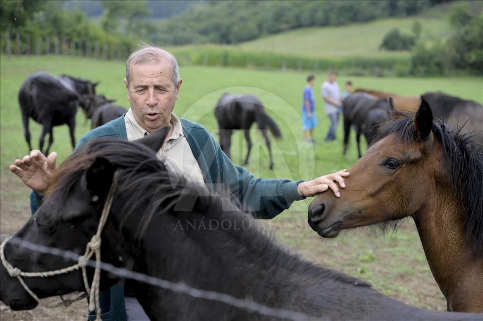 Hipolog Enver Žiga uvjerio se u loše stanje ergele “Borike“: Potrebno je hitno reagovati da bi konji mogli preživjeti zimu