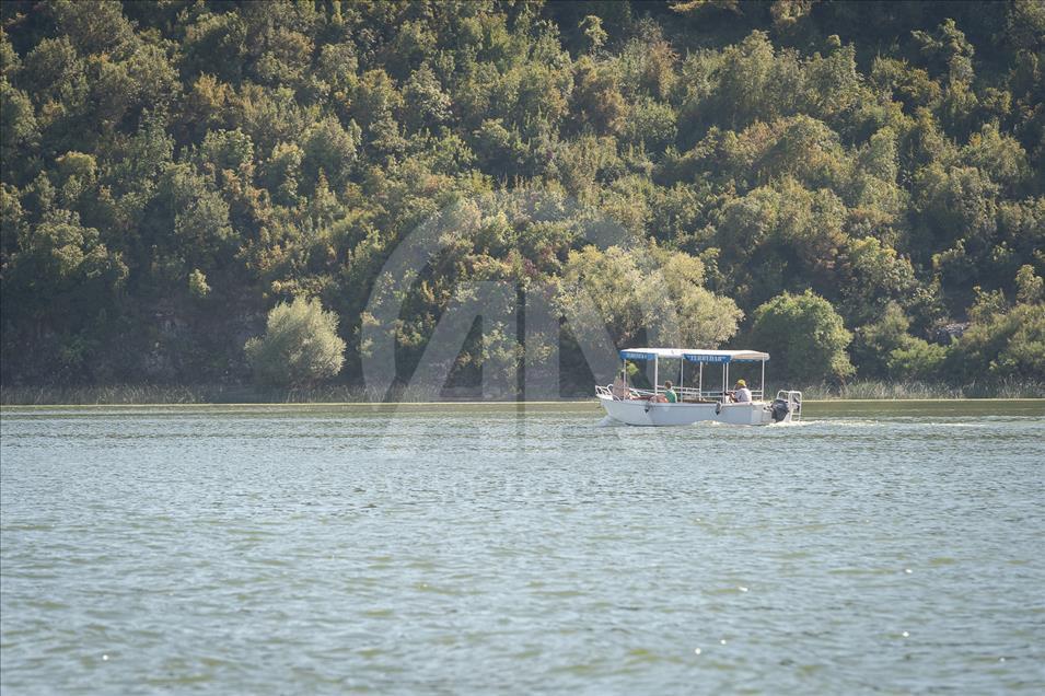 Skadarsko jezero, najveće na Balkanu: Prirodni rezervat rijetkih ptica i riba, kudravi pelikan zaštitni znak jezera