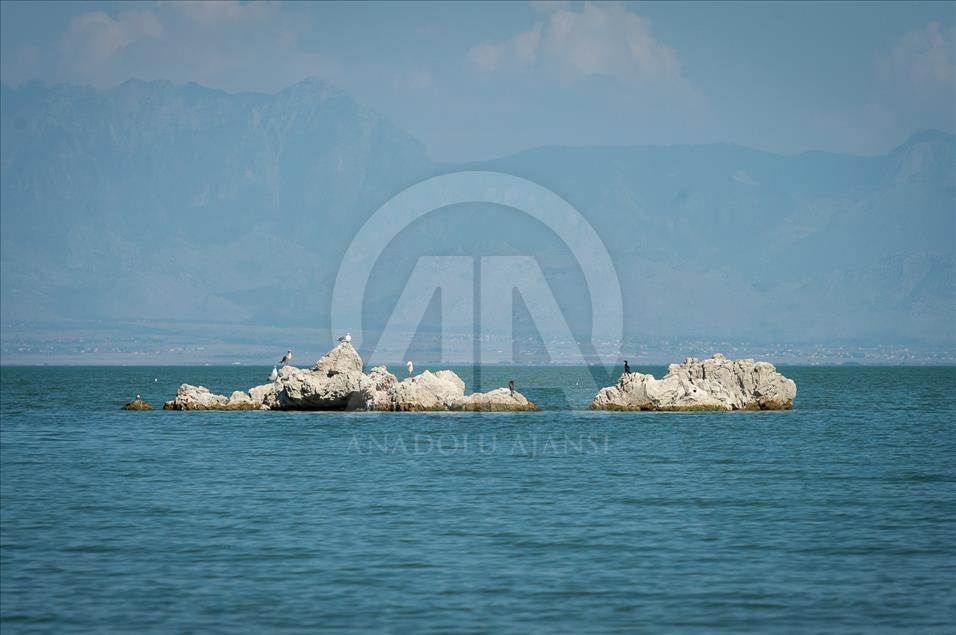 Skadarsko jezero, najveće na Balkanu: Prirodni rezervat rijetkih ptica i riba, kudravi pelikan zaštitni znak jezera