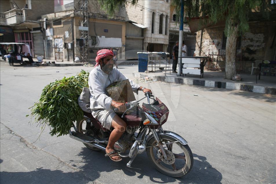 Daily life in Jarablus after its freed from Daesh