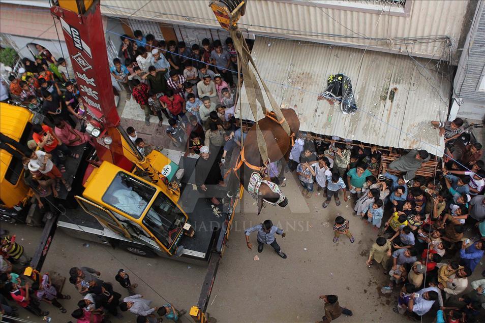 Pakistani man uses crane to carry his animals down from the roof