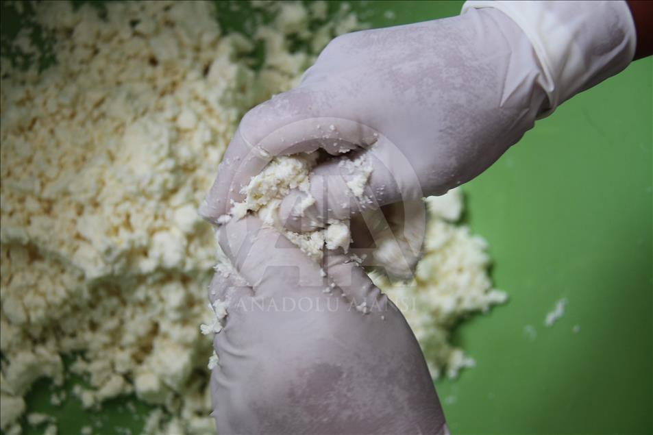 Yayladan sofraya Erzincan tulum peyniri