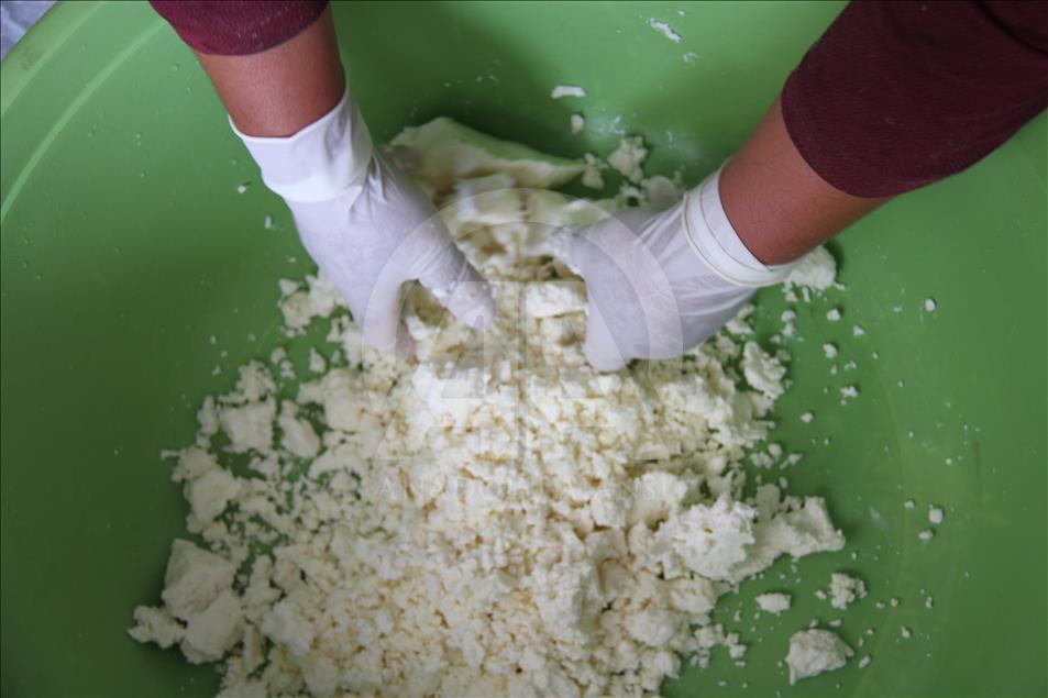 Yayladan sofraya Erzincan tulum peyniri