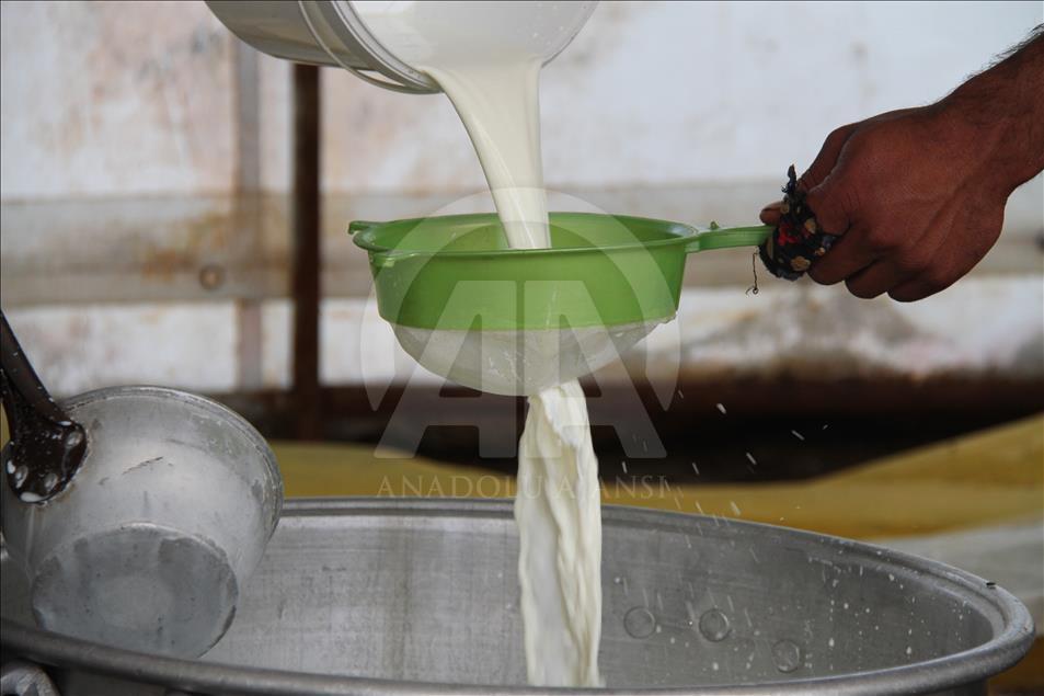 Yayladan sofraya Erzincan tulum peyniri