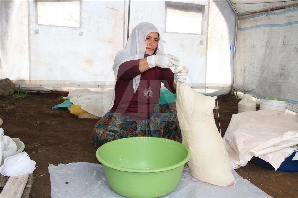 Yayladan sofraya Erzincan tulum peyniri