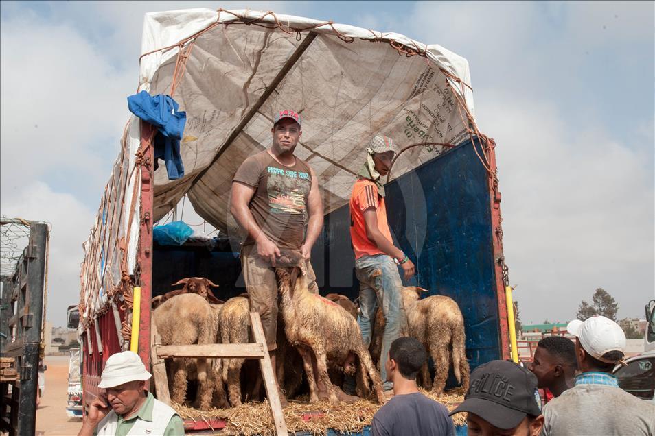 Fas'ta Kurban Bayramı Hazırlıkları