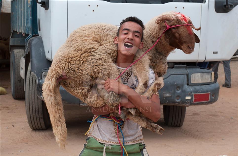 Fas'ta Kurban Bayramı Hazırlıkları