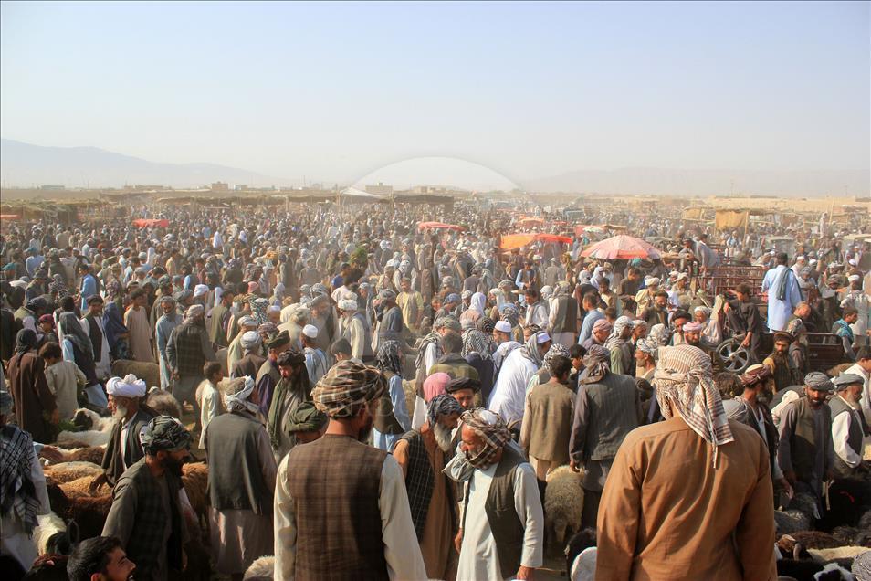 Afganistan'da Kurban Bayramı hazırlıkları