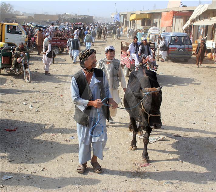 Afganistan'da Kurban Bayramı hazırlıkları
