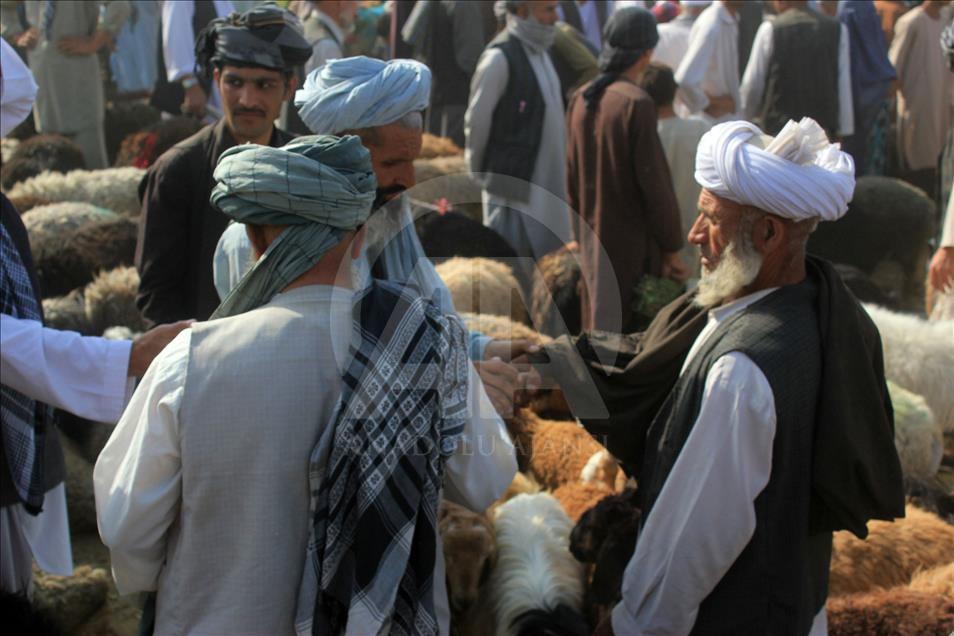 Afganistan'da Kurban Bayramı hazırlıkları