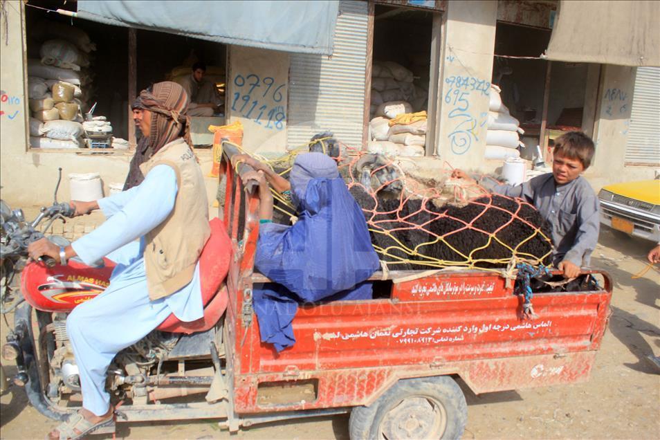 Afganistan'da Kurban Bayramı hazırlıkları