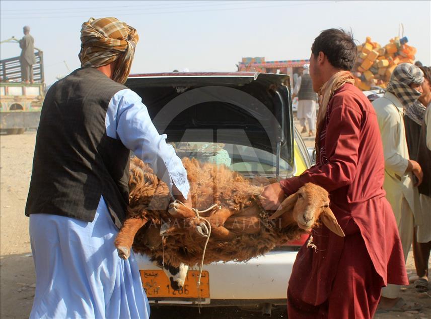 Afganistan'da Kurban Bayramı hazırlıkları