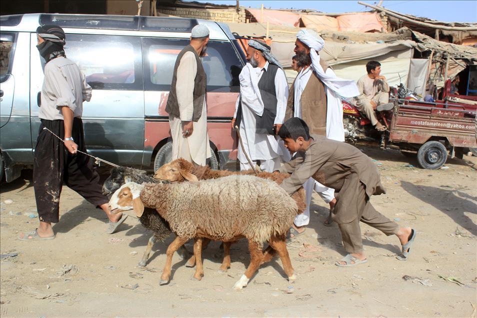 Afganistan'da Kurban Bayramı hazırlıkları