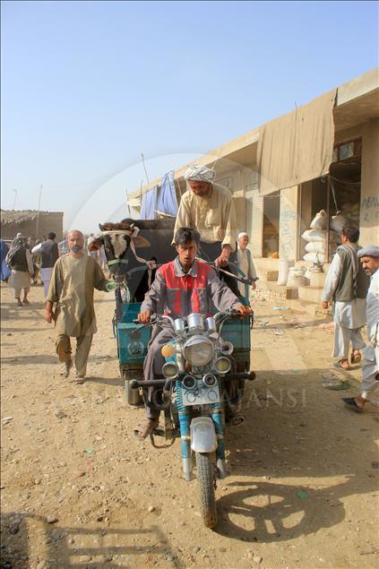 Afganistan'da Kurban Bayramı hazırlıkları