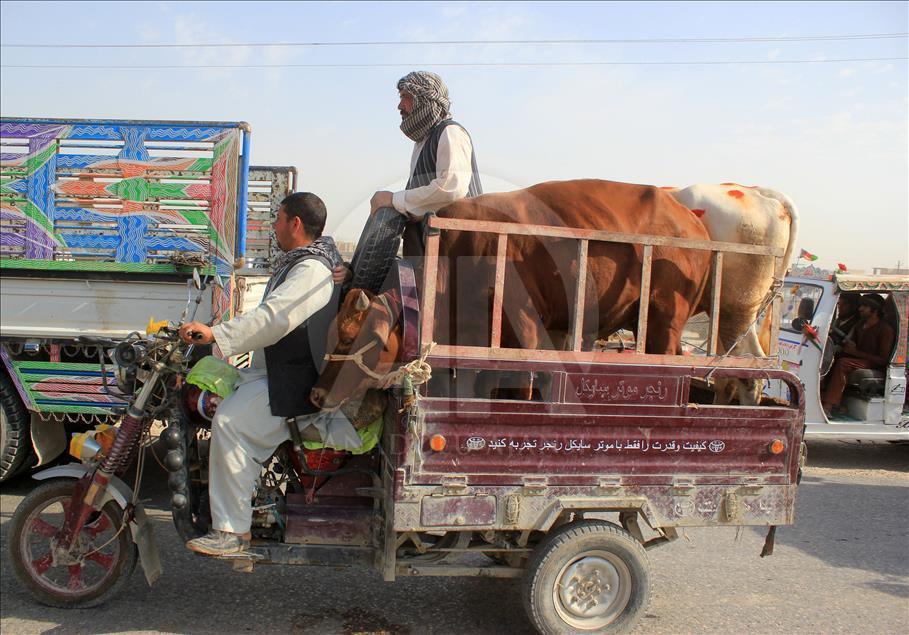 Afganistan'da Kurban Bayramı hazırlıkları