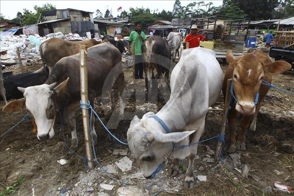 Sacrificial Animals Market During Eid al Adha Preparation in Indonesia