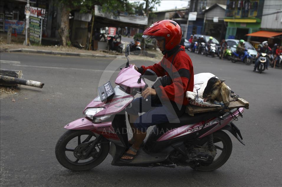 Sacrificial Animals Market During Eid al Adha Preparation in Indonesia
