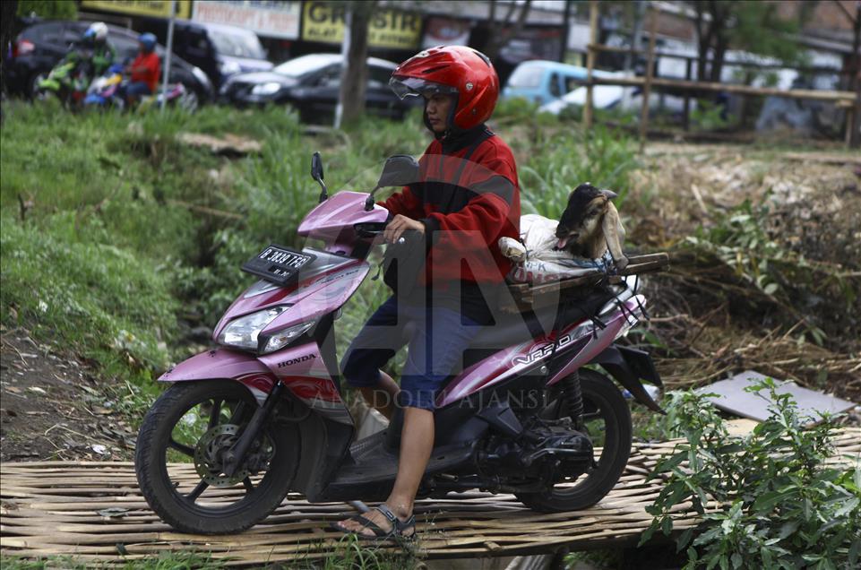 Sacrificial Animals Market During Eid al Adha Preparation in Indonesia