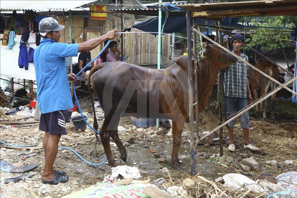 Sacrificial Animals Market During Eid al Adha Preparation in Indonesia
