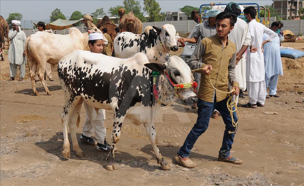 Pakistan'da Kurban Bayramı
