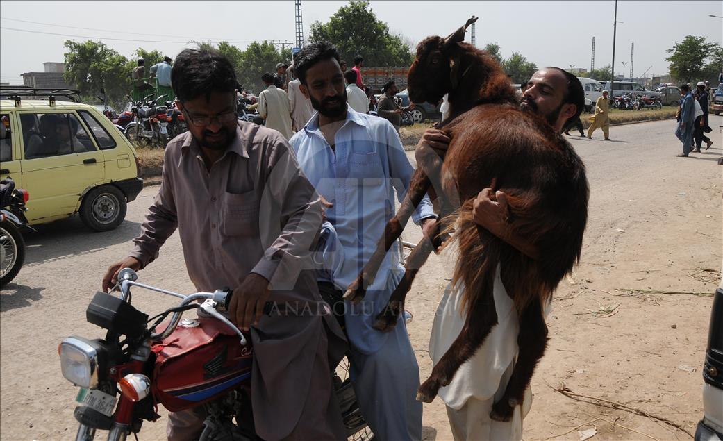 Pakistan'da Kurban Bayramı