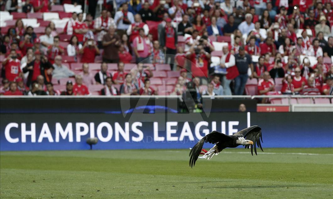 Benfica - Beşiktaş