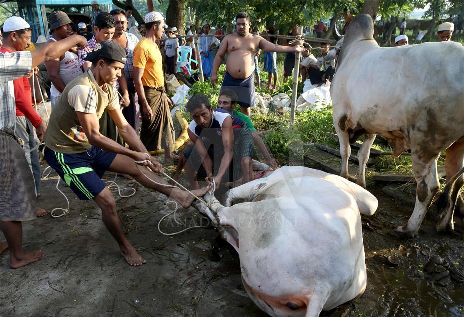 Eid Al-Adha in Myanmar