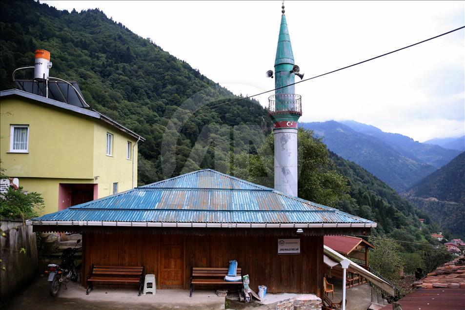 Karadeniz'in "kök boyalarla süslü" camileri