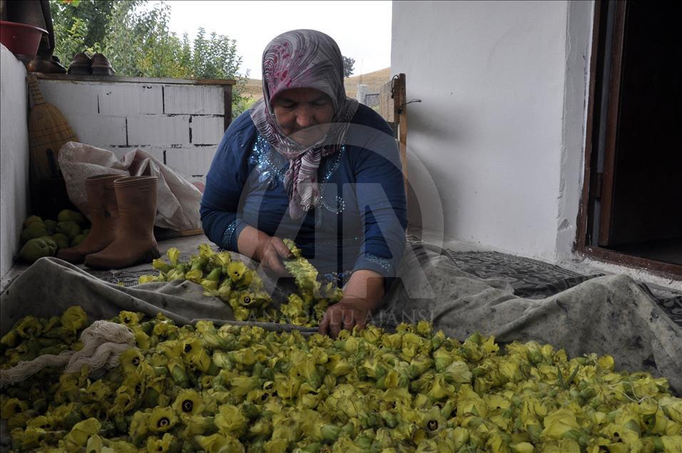 Bamyanın tarladan sofraya zorlu yolculuğu