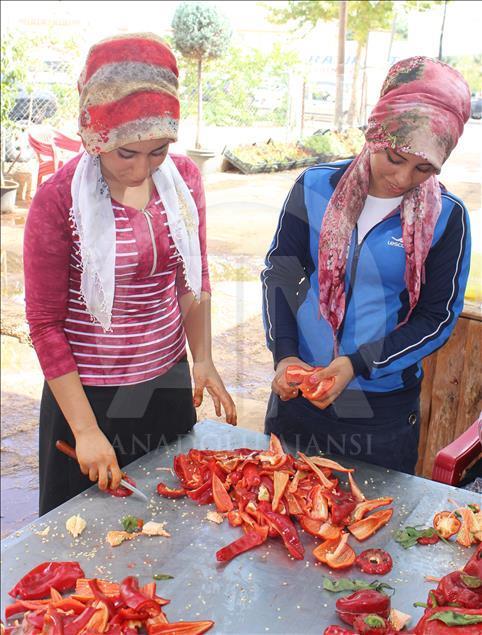 "Gastronomi şehri"nin kadınlarını biber salçası telaşı sardı
