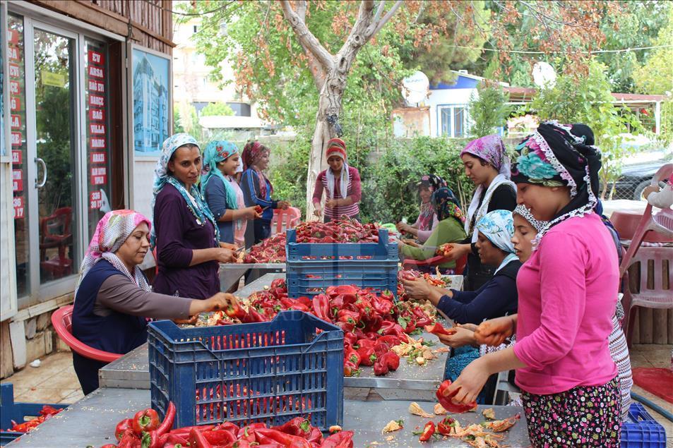 "Gastronomi şehri"nin kadınlarını biber salçası telaşı sardı
