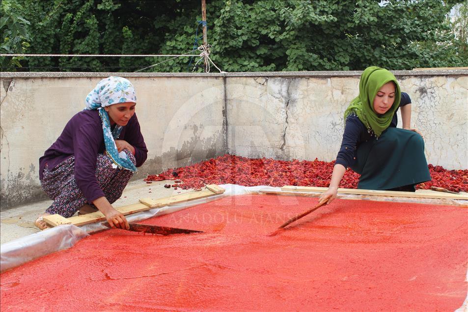 "Gastronomi şehri"nin kadınlarını biber salçası telaşı sardı
