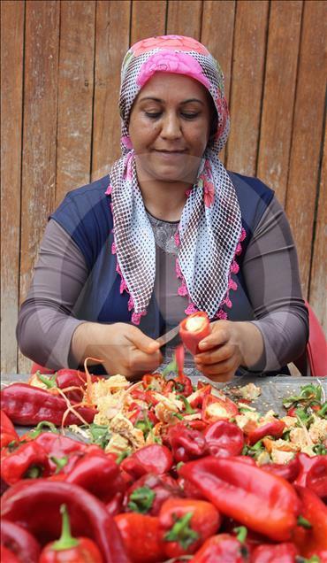 "Gastronomi şehri"nin kadınlarını biber salçası telaşı sardı
