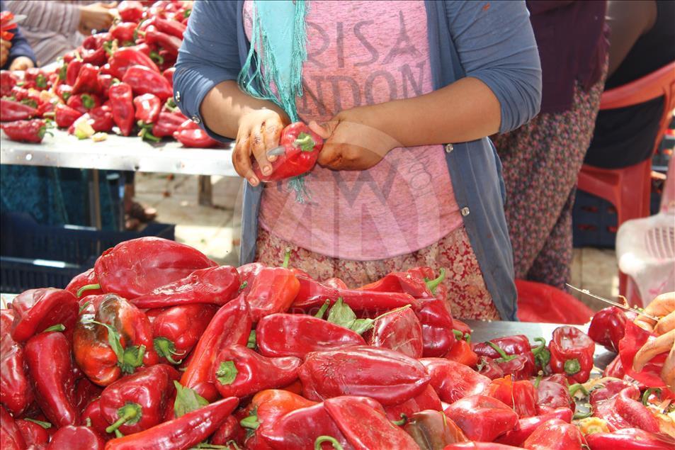 "Gastronomi şehri"nin kadınlarını biber salçası telaşı sardı
