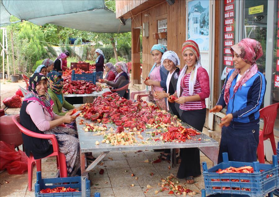 "Gastronomi şehri"nin kadınlarını biber salçası telaşı sardı

