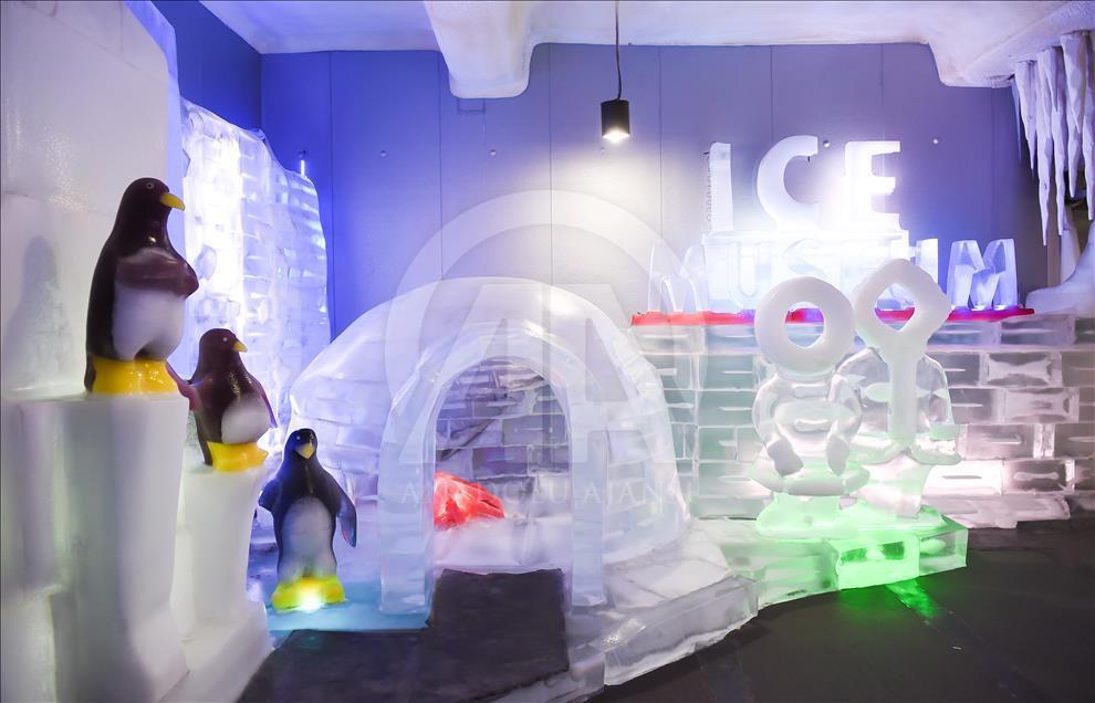 Seul'deki Buz Müzesi