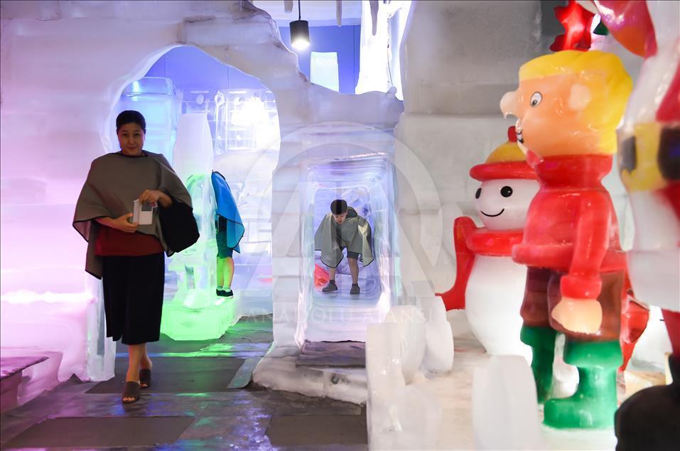 Seul'deki Buz Müzesi