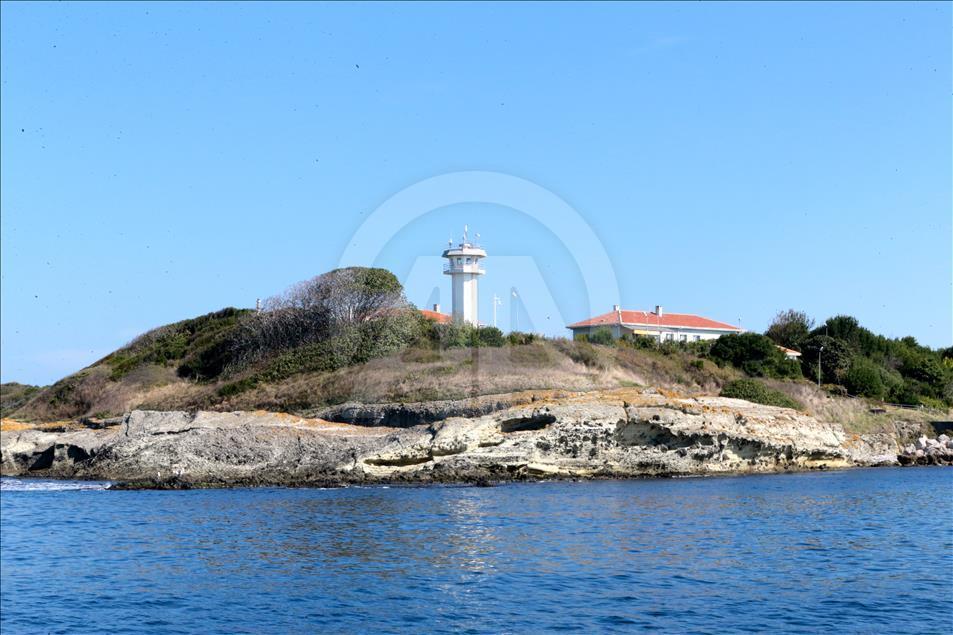 Tarihi "Kefken Adası" turizme açılmayı bekliyor